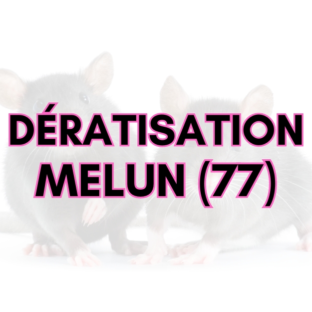 DERATISATION A MELUN