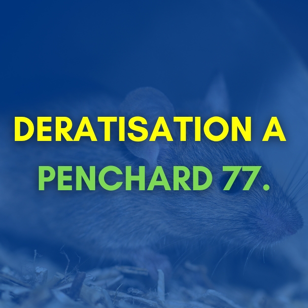 DERATISATION A PENCHARD 77