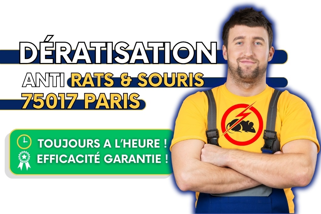 Dératisation Paris 17