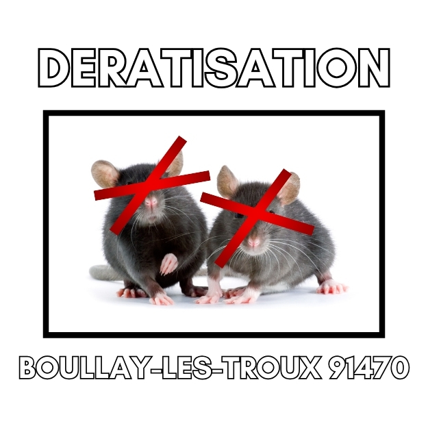 DERATISATION BOULLAY-LES-TROUX 91470