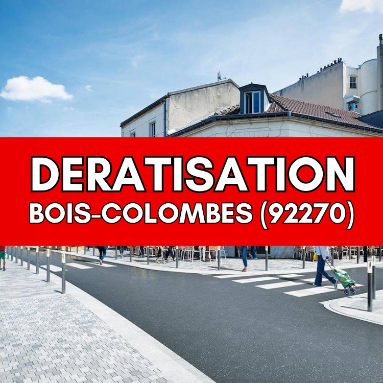 DÉRATISATION Bois-Colombes (92270)