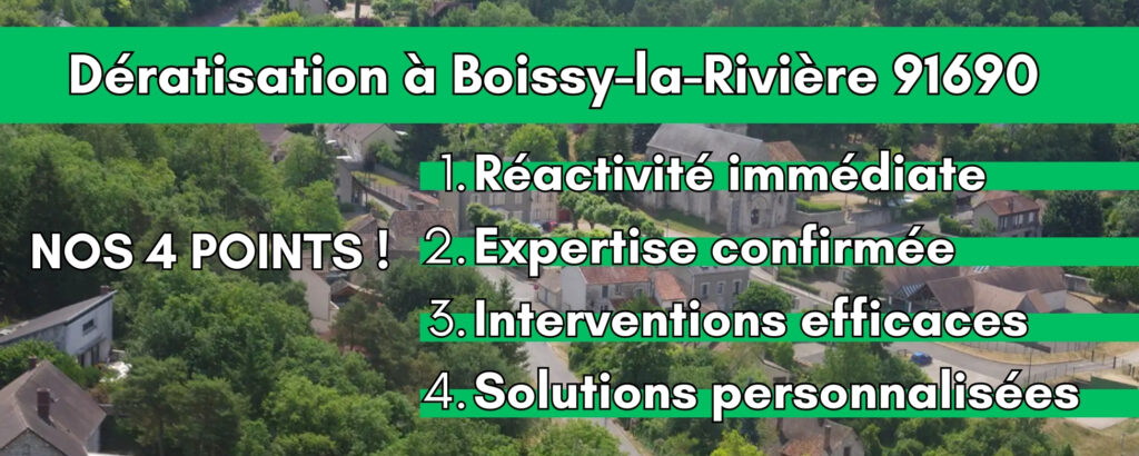 Dératisation à Boissy-la-Rivière 91690