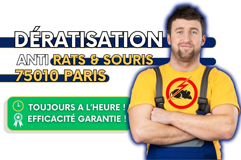 Dératisation Paris 10