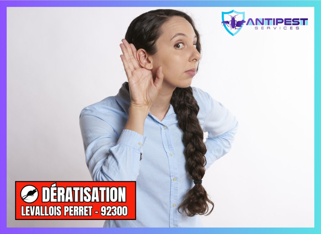 Dératisation à Levallois Perret (92) 92300